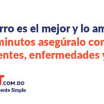 Mascota